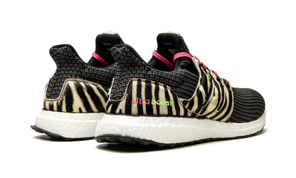 Ultraboost DNA "Animal Pack-Zebra" FZ2730