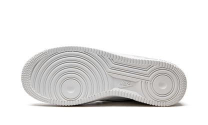 AIR FORCE 1 '07 LO WMNS "White Fossil Stone (W)" 315115 169